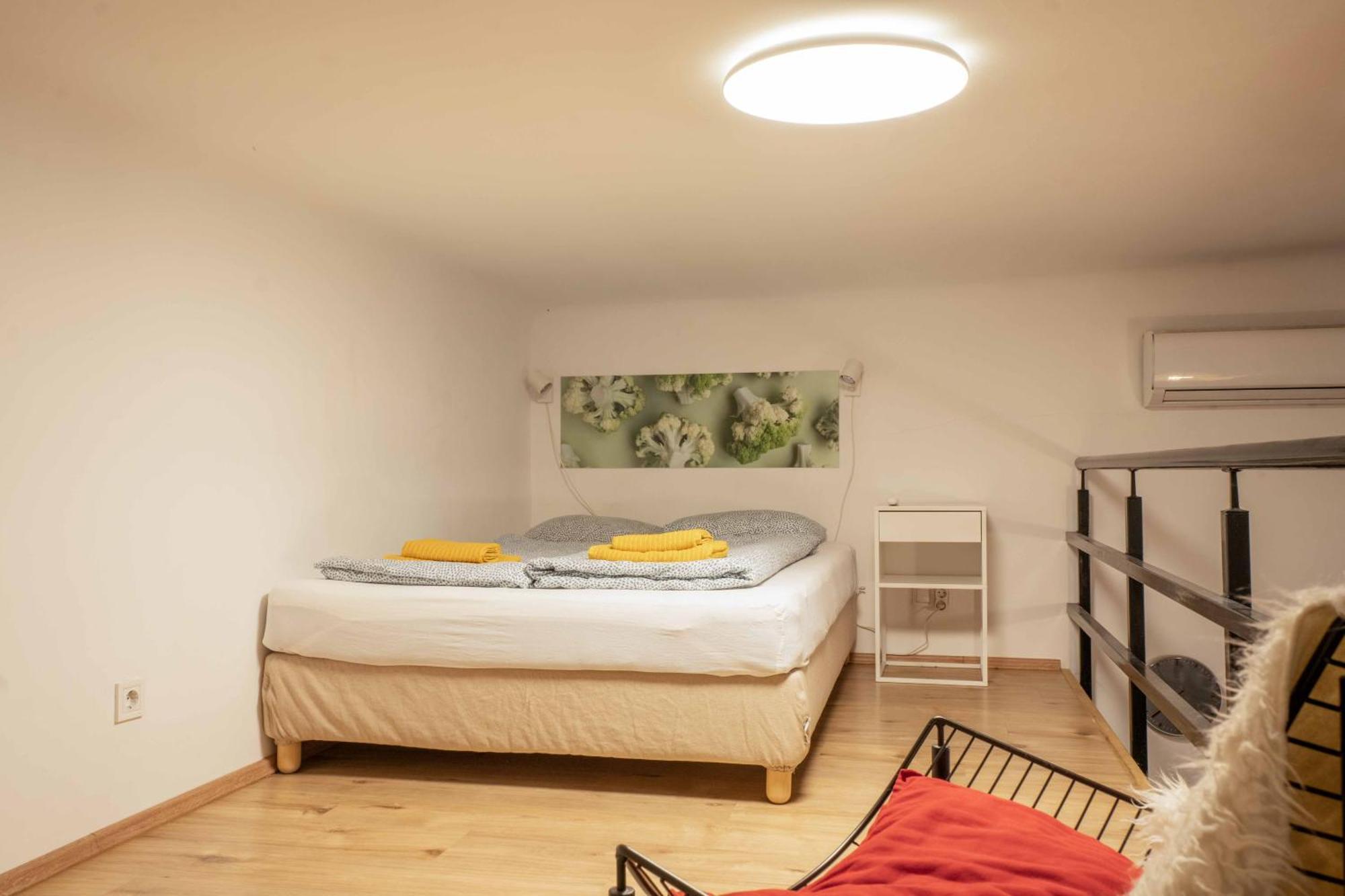 Cosy Studio In Terezvaros W41 Green 布达佩斯 外观 照片